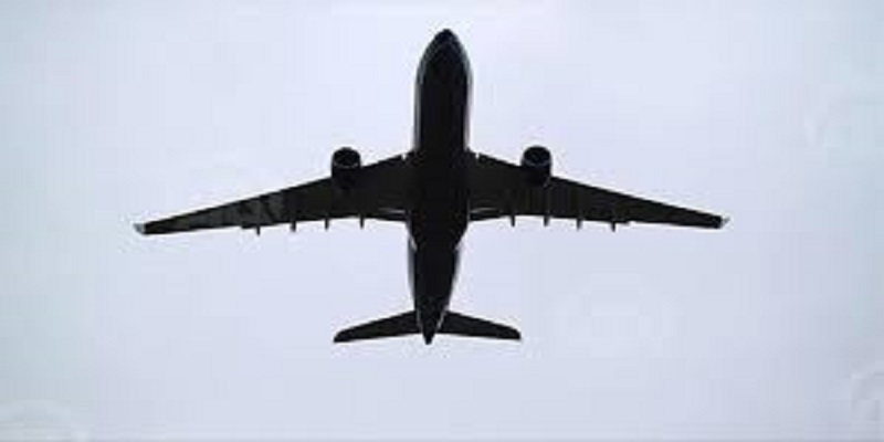 États-Unis : une femme meurt de la Covid-19 à bord même d’un avion