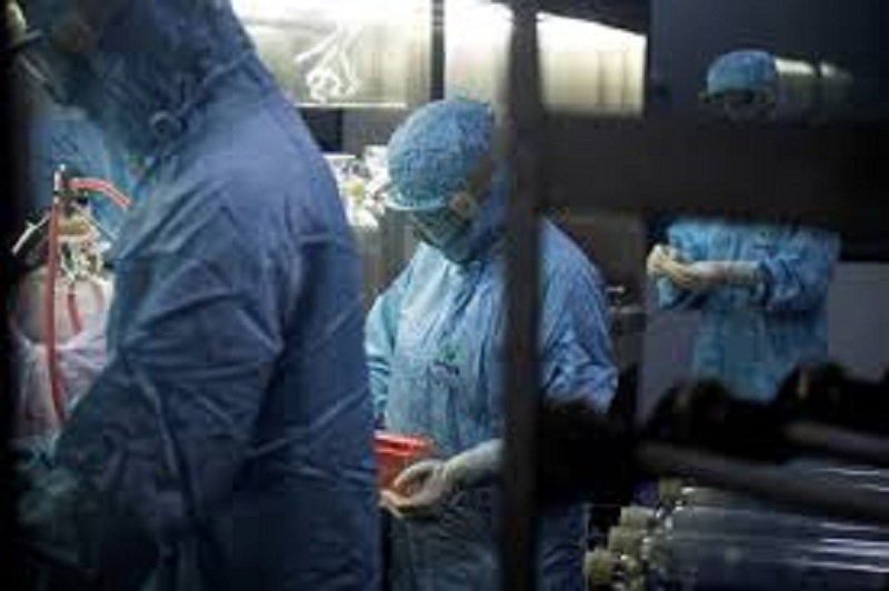 Coronavirus : une virologue chinoise en exil révèle la source du virus