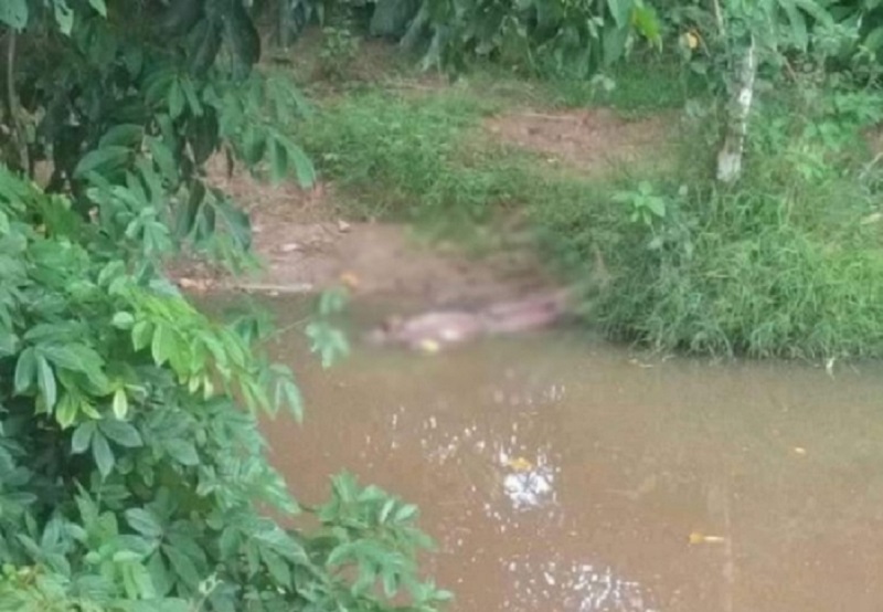 Côte d’Ivoire – Drame : le corps sans vie d’un homme retrouvé dans une rivière