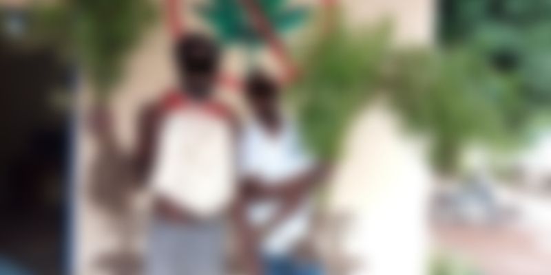 Côte d’Ivoire: deux frères propriétaires d’un hectare de cannabis mis aux arrêts