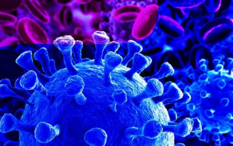 Covid-19 / Olivier Véran : « nous sommes en phase de décroissance de l’épidémie »