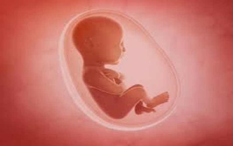 Covid-19 : la transmission est possible de la mère au bébé, selon une étude