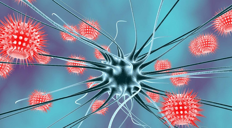 Covid-19 : le virus est capable d’infecter les neurones