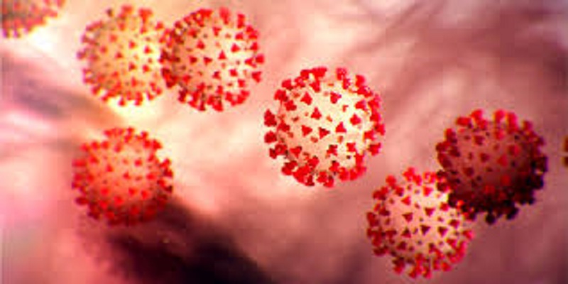 Covid-19 : un immunologiste évoque des similitudes entre le virus et la grippe espagnole