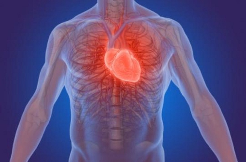 Infestée de poux, une jeune fille de 12 ans décède d’un arrêt cardiaque 