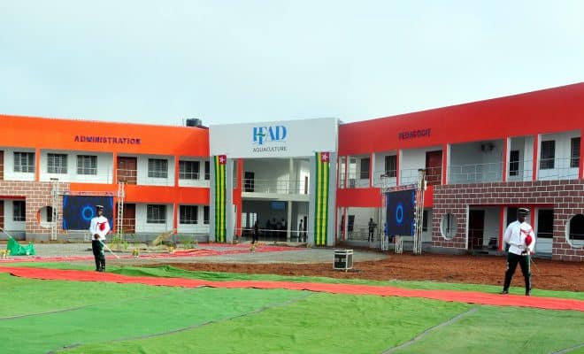 Togo : appel à candidatures à l’IFAD Aquaculture d’Elavagnon