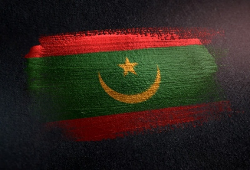 Des Wolofs de la Mauritanie protestent contre leur absence dans gouvernement