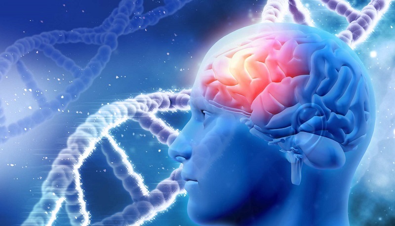 Ces gestes simples pour améliorer le fonctionnement du cerveau