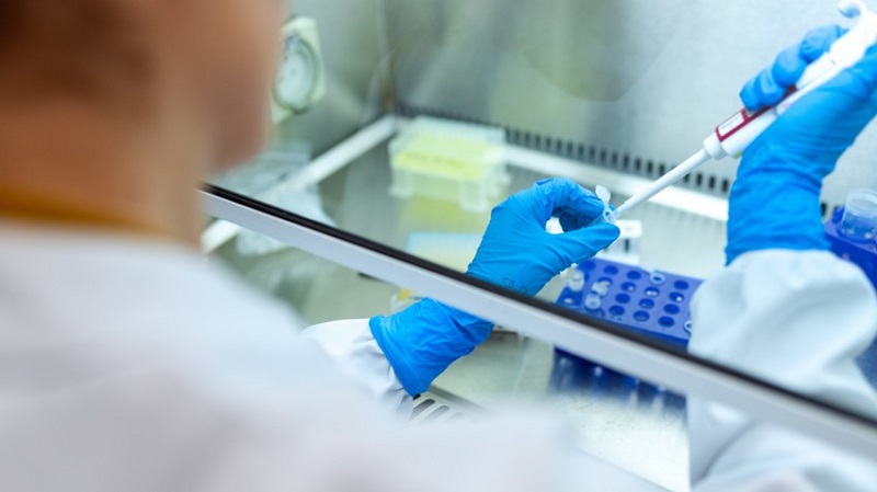 Des chercheurs français découvrent un nouveau virus qui s’attaque « très probablement » au cerveau