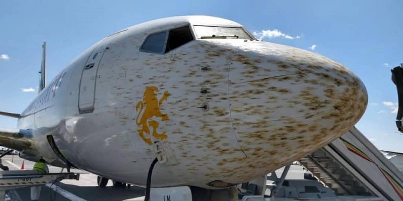 Des criquets déroutent un avion d’Ethiopian  Airlines