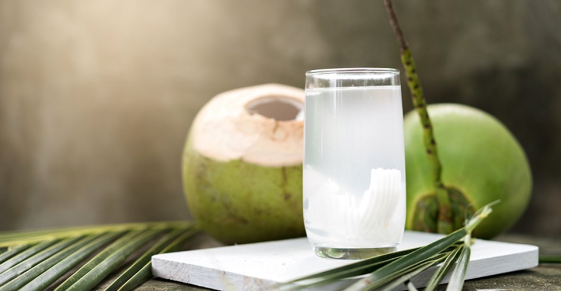 Pourquoi la noix de coco contient-elle de l’eau et d’où provient-elle ? Le mystère enfin résolu
