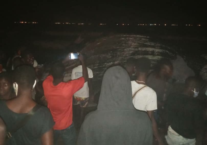 Togo : une 2e baleine morte sur la plage de Lomé (vidéo)