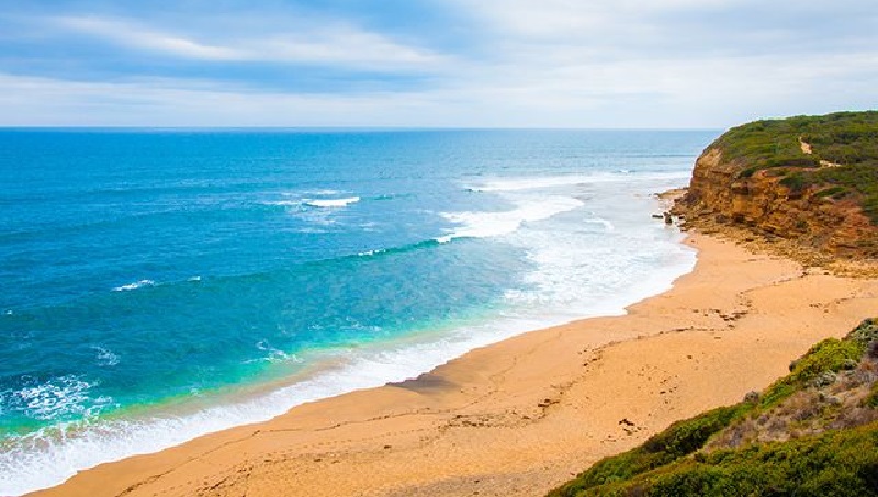 Échouée sur une plage australienne, cette créature intrigue les scientifiques (photos)
