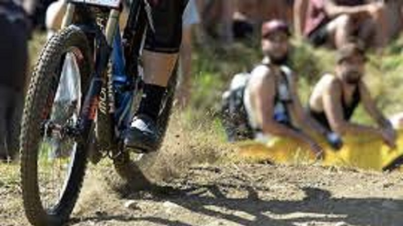 Elle promet une grosse somme à celui qui lui ramènera son vélo