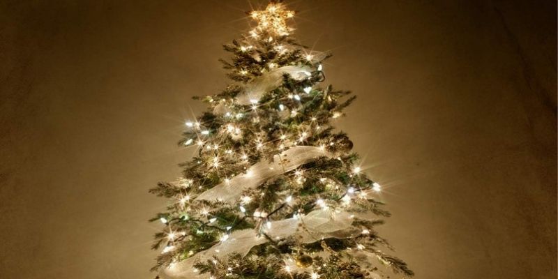 France : un sapin atypique installé dans le Gard (photo)