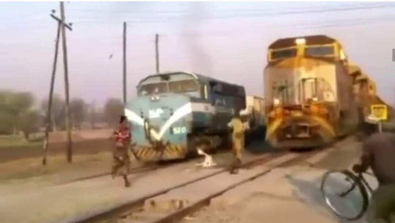 Elles échappent de peu à la mort en passant devant un train en déplacement (vidéo)