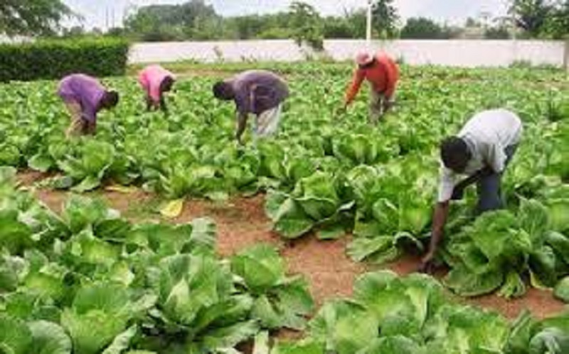 Entrepreneuriat : le Togo obtient un bon classement