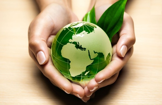 Eco-responsabilité pour un meilleur environnement