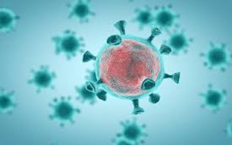 France : plus de 2500 nouveaux cas de coronavirus enregistrés en une journée