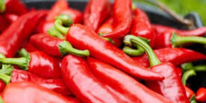 Etude : consommer régulièrement du piment réduirait considérablement le risque d’infarctus et d’AVC