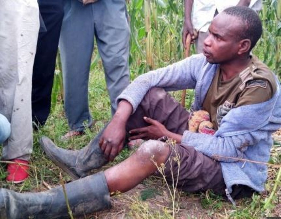 Faits divers / «Je me sers des vaches parce que les filles pourraient me donner le VIH», la confession d’un jeune indélicat pris en flagrant délit d’abus d’une vache (Photos)