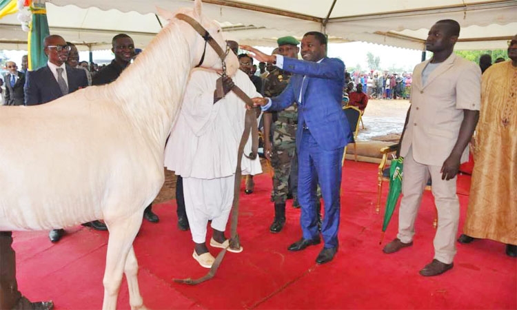 Togo: le majestueux cadeau des populations de Cinkassé au président Faure Gnassingbé