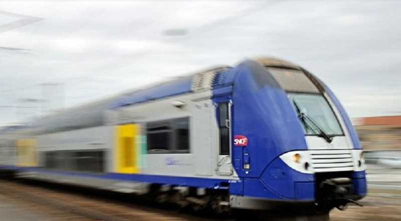 En voulant sauver un chien, une femme tuée par un train