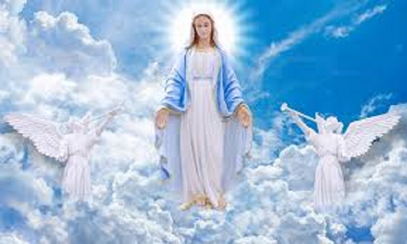 Assomption: quelles origines pour quelles définitions chez les catholiques