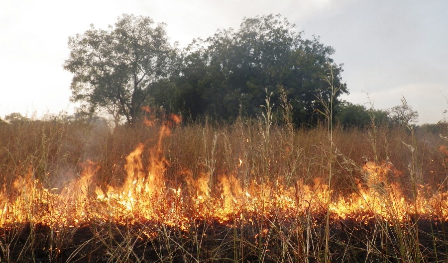 Feu de végétation au Togo : voici le calendrier de la campagne 2018-2019