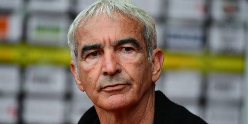 Football : Raymond Domenech tacle violemment un journaliste de Téléfoot
