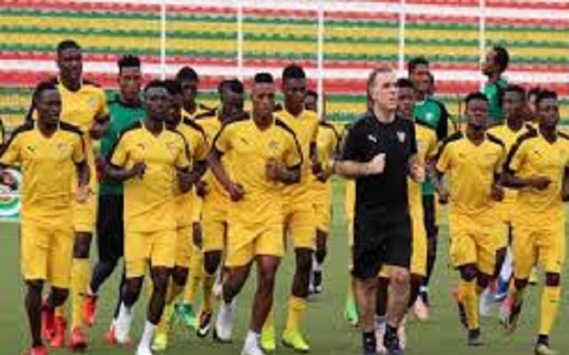 Football / Togo-Egypte : les internautes optimistes pour la victoire des Éperviers