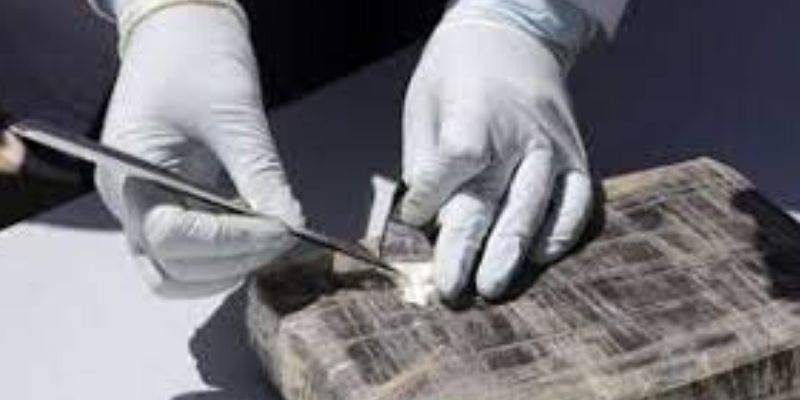France : 26 kg de cocaïne découverts dans un chargement de bananes