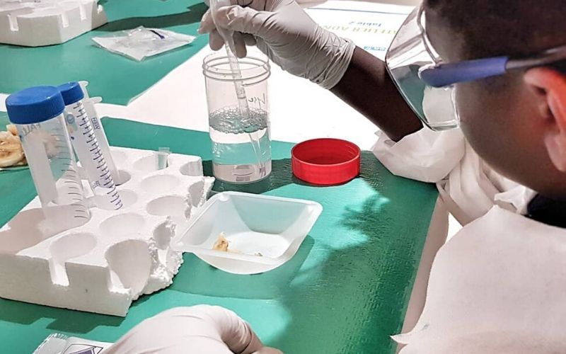France / Covid-19 : une étude prouve que le virus circulait déjà avant l’annonce des premiers cas