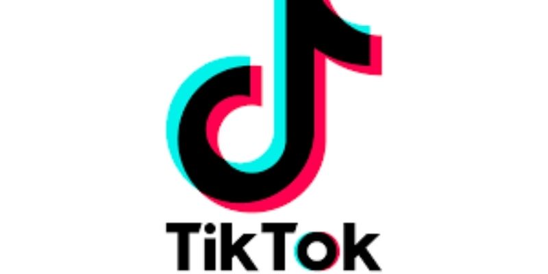 France : après Emmanuel Macron, un autre membre du gouvernement s’aventure sur TikTok