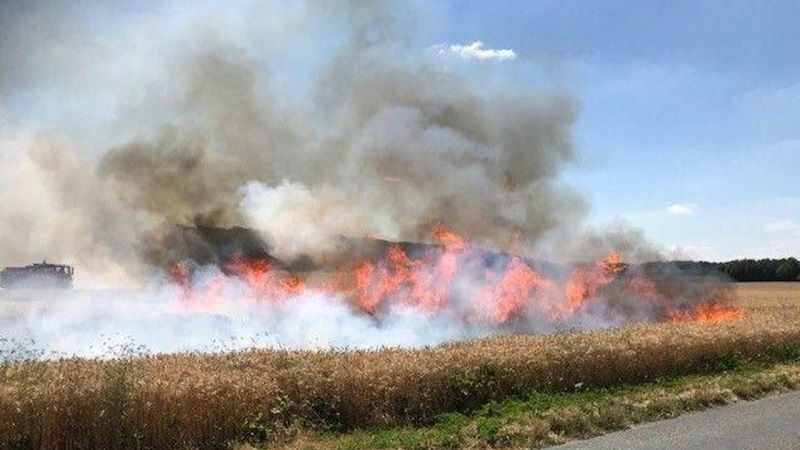 France : il met le feu à du papier toilette et déclenche un incendie de 8 hectares