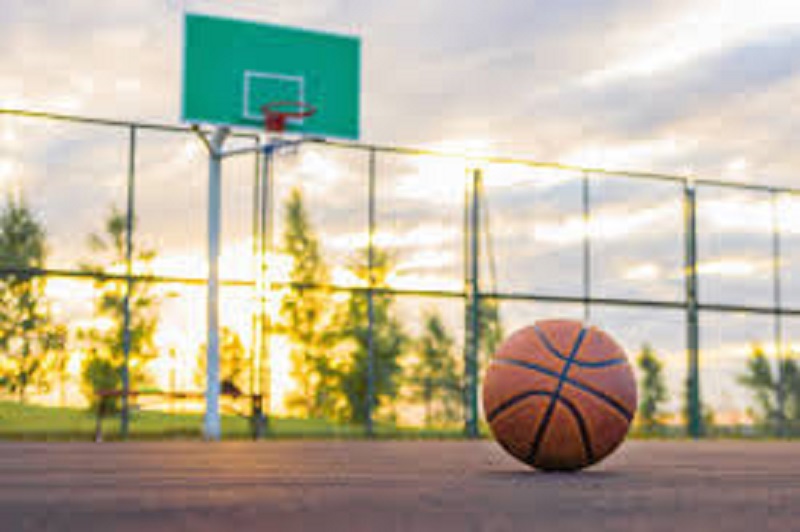 France : une saison blanche pour les clubs de basket
