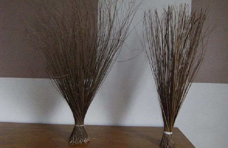 Ghana : un traditionaliste utilise 2 balais pour retrouver un voleur