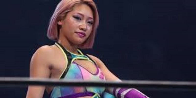 Hana Kimura, la célèbre catcheuse Japonaise, est morte à 22 ans