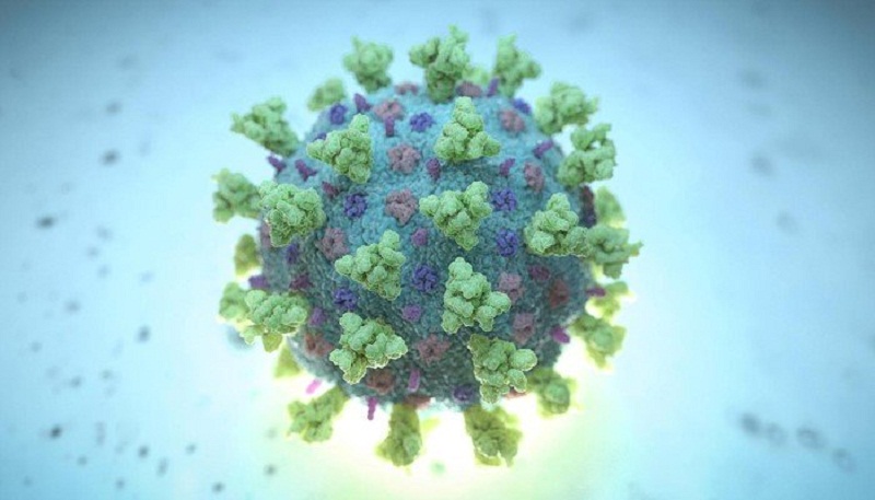 Covid-19 : les USA frappés par une souche du virus encore plus contagieuse