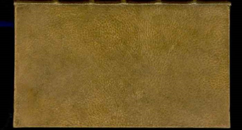 Harvard : la bibliothèque détient un livre français du 19e siècle relié en peau humaine