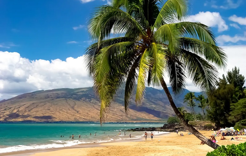 Hawaï expulse les voyageurs qui violent la quarantaine