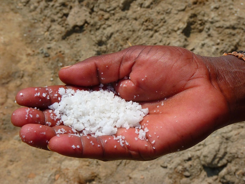 6 conseils pour réduire la consommation de sel