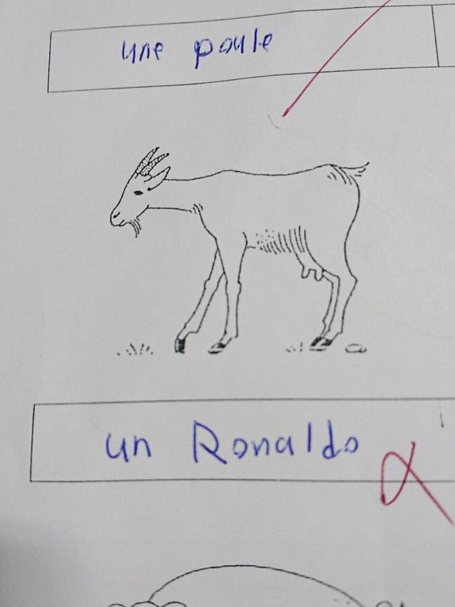 Un étudiant rate la moyenne en français après avoir nommé Cristiano Ronaldo comme le GOAT