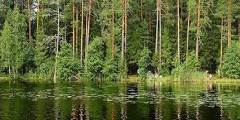 Record de défenseurs de l’environnement tués en 2019 : les Amérindiens en première ligne