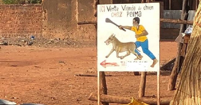 Il tue son frère à cause de la viande de chien qu’ils allaient manger ensemble !