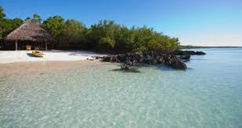 Île de Vamizi : le paradis des stars confisqué par les terroristes