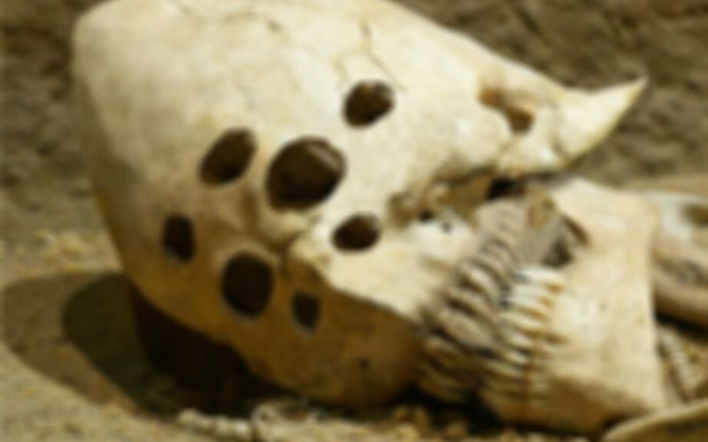 Allemagne : la tombe d’un ancien seigneur entouré de 6 femmes, découverte