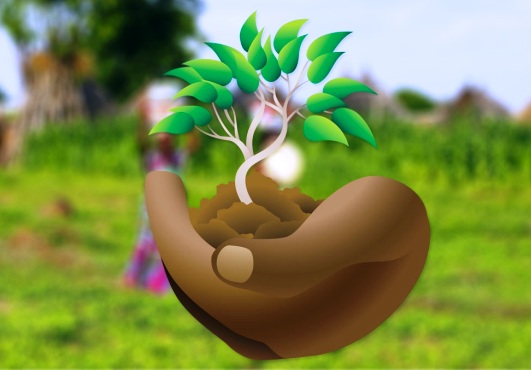 Journée nationale de l’arbre 2018 : les Togolais ont répondu à l’appel