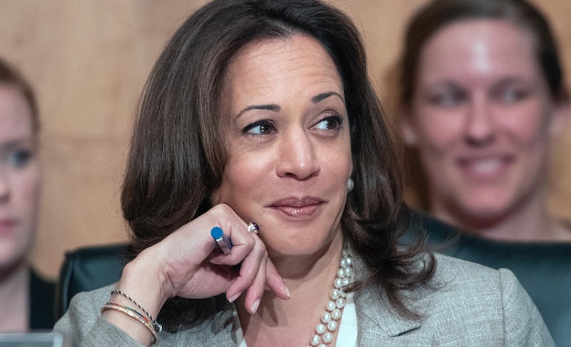Kamala Harris : voici le montant du patrimoine de la vice-présidente américaine
