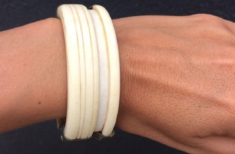 Kenya : 2 touristes arrêtés après l’achat et le port des bracelets en ivoire